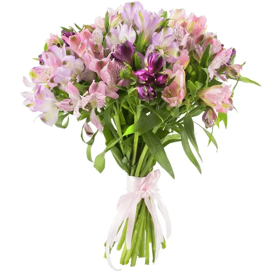 Альстромерия сиреневая