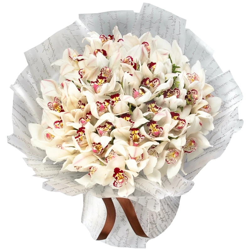 Букет из 51 белой орхидеи