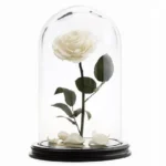 Роза в колбе белая №4